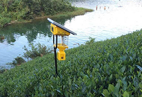 贵州茶园丝瓜污视频网址下载助力打造古茶品牌