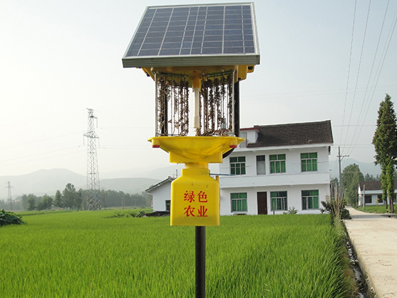 农用杀虫灯如何清理？听杀虫灯厂家的建议没错