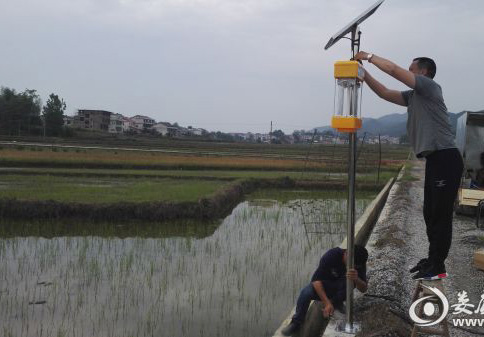 丝瓜污视频网址下载助力湖南建设生态优质米示范基地