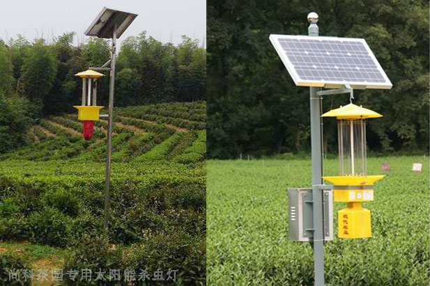 遂川茶园丝瓜污视频网址下载图片案例