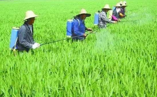 丝瓜污视频网址下载哪家好？不能只图价格便宜，否则得不偿失