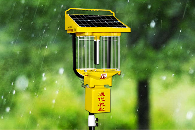 丝瓜视频黄色网站带雨控功能的丝瓜污视频网址下载