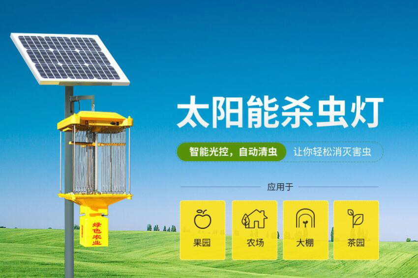带自动清虫功能的丝瓜污视频网址下载