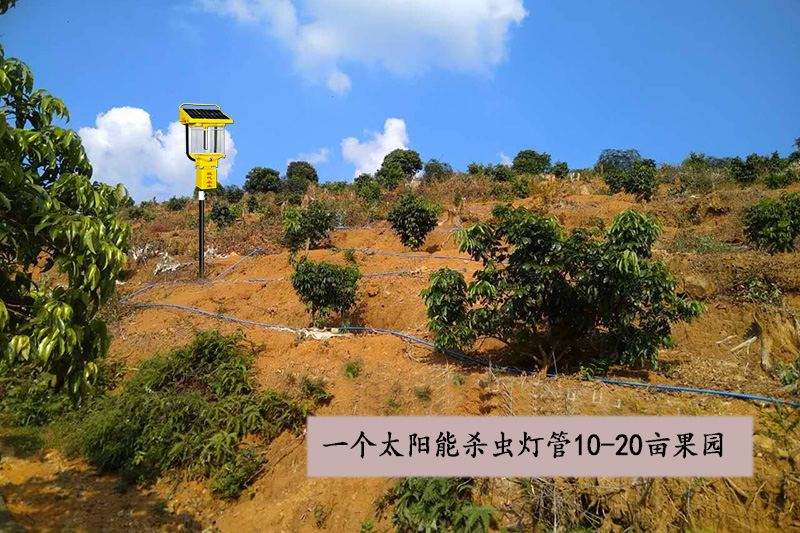 山地果园用丝瓜污视频网址下载优势效益分析