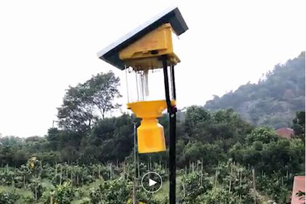 果园丝瓜污视频网址下载的价格是多少
