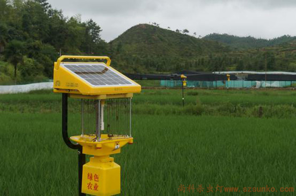 丝瓜污视频网址下载在江西赣州虔农虎蛙稻种植基地效果