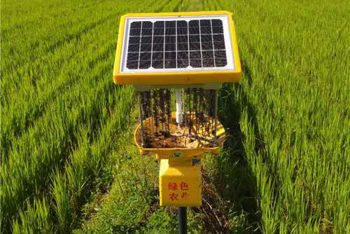 丝瓜污视频网址下载在黑龙江延寿县水稻种植基地披甲上阵