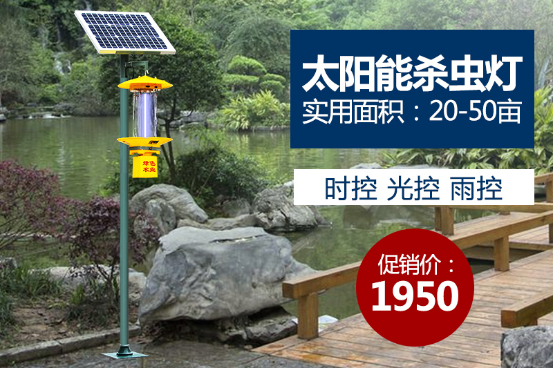 质量好的丝瓜污视频网址下载价格都贵
