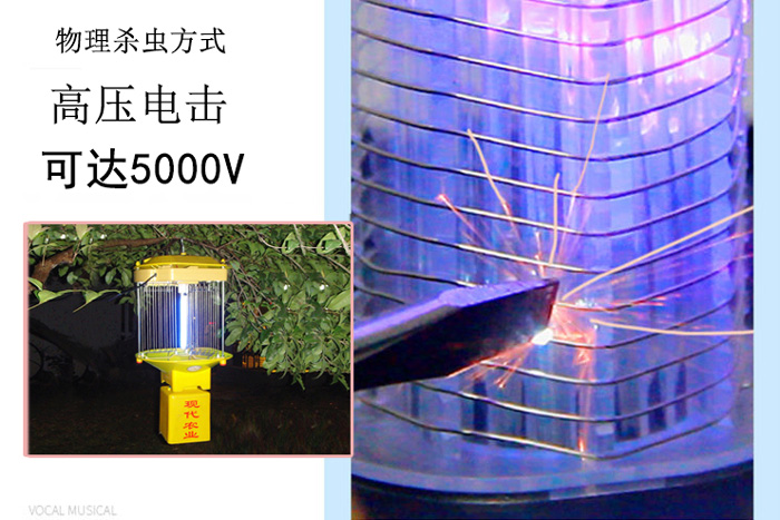 高压杀虫灯什么价格，让丝瓜视频黄色网站告诉你