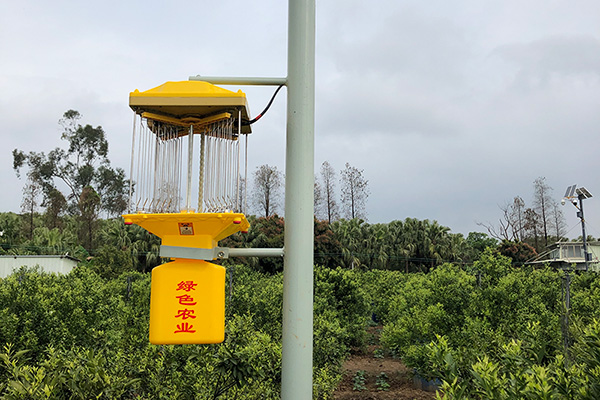 太阳能监控丝瓜污视频网址下载让茶园更安全
