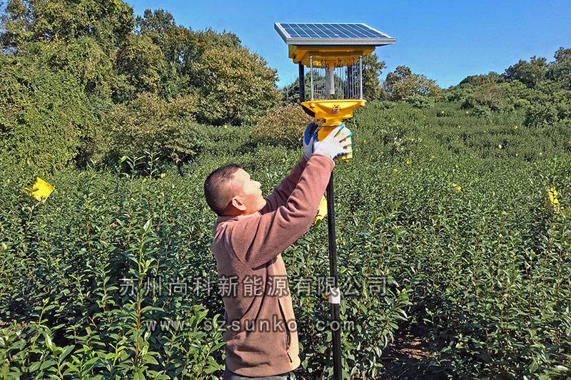 苏州碧螺春茶园丝瓜污视频网址下载安装纪实