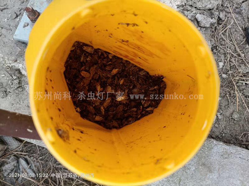 丝瓜污视频网址下载作用大