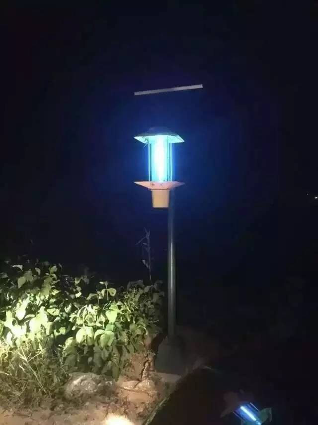 丝瓜污视频网址下载哪家好？丝瓜视频黄色网站杀虫灯夜间工作图片