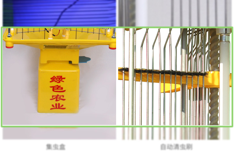 自动清洁型丝瓜污视频网址下载有自动毛刷装置