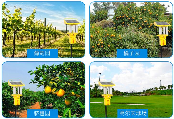 太阳能丝瓜黄色视频在线观看TFS15应用效果