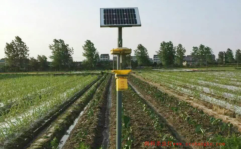 济宁蔬菜种植园菜地丝瓜污视频网址下载