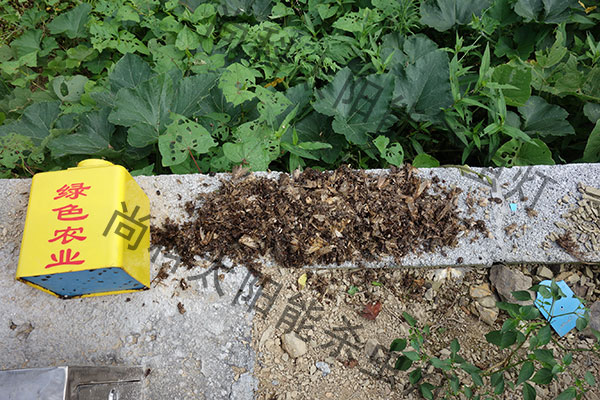 家禽养殖场使用丝瓜污视频网址下载案例