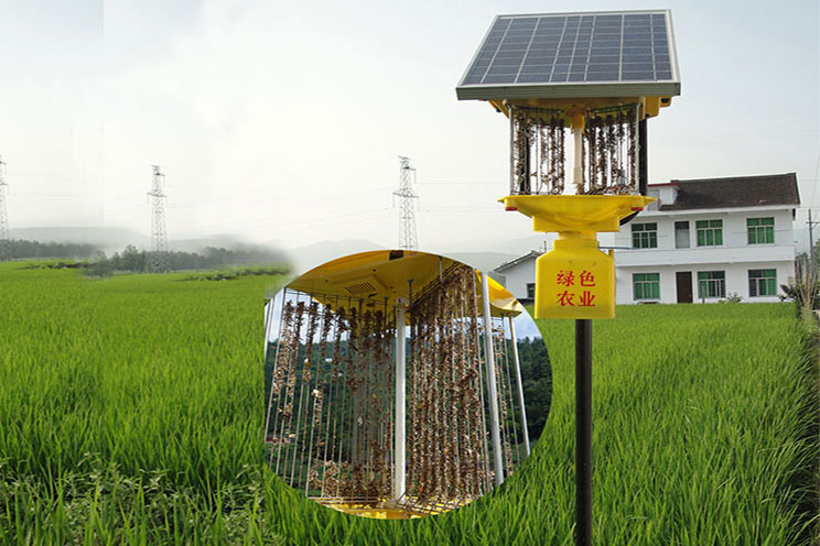 太阳能丝瓜黄色视频在线观看效果实拍