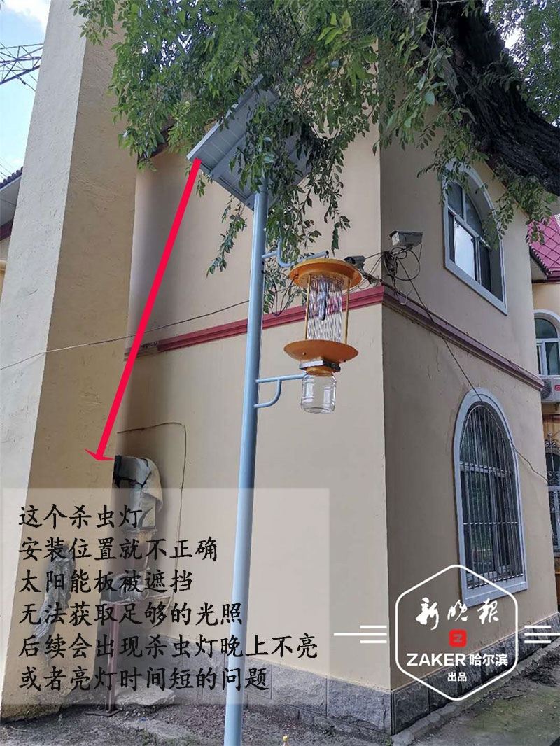 哈尔滨园林公园安装丝瓜污视频网址下载