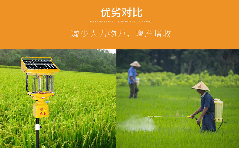 丝瓜污视频网址下载助力水稻田害虫防治