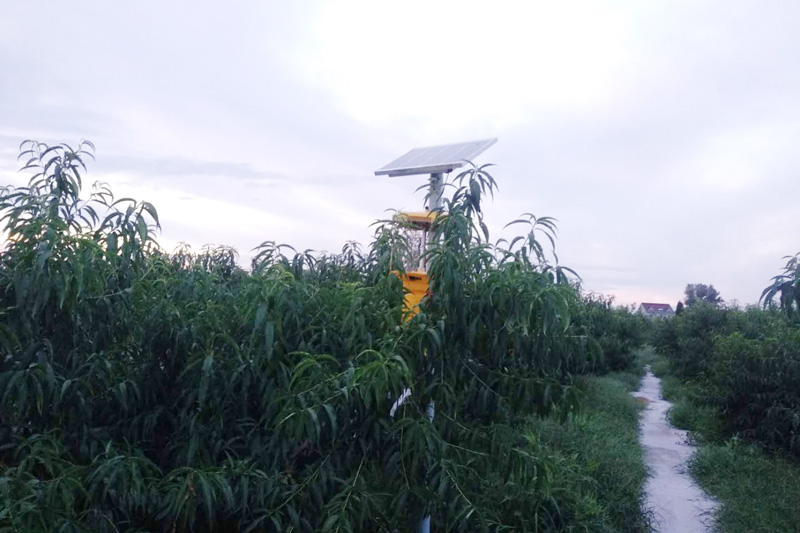 合肥桃园使用丝瓜污视频网址下载效果