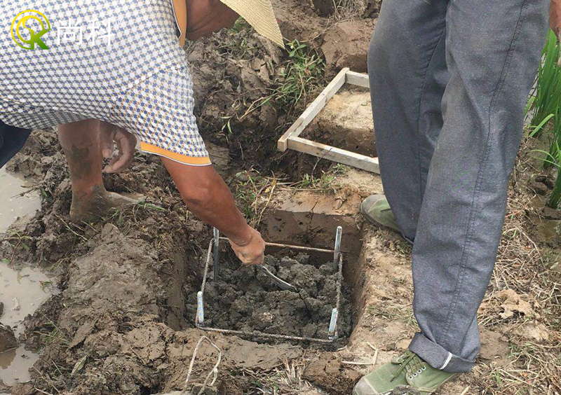 立杆丝瓜污视频网址下载地基地笼安装-放置地笼
