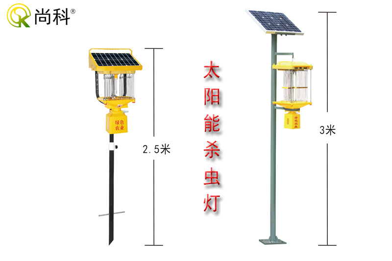 云南丝瓜污视频网址下载