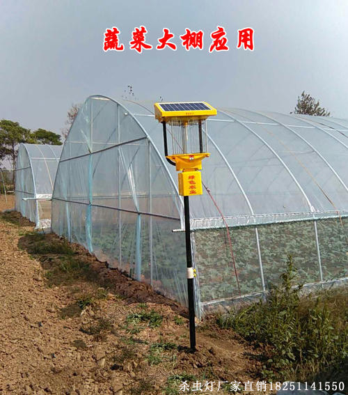 山东太阳能农田杀虫灯实拍，田间杀虫灯图片