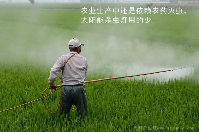 水稻使用农药灭虫，丝瓜污视频网址下载用的少