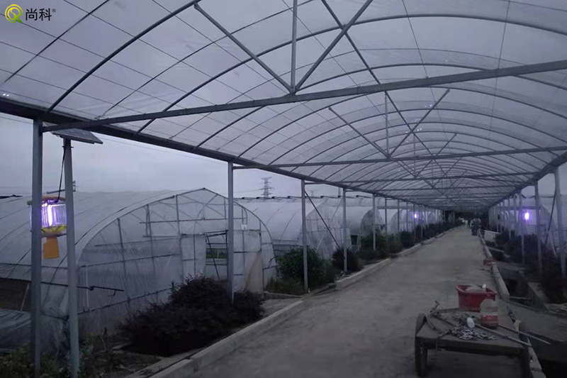 蔬菜种植基地丝瓜污视频网址下载