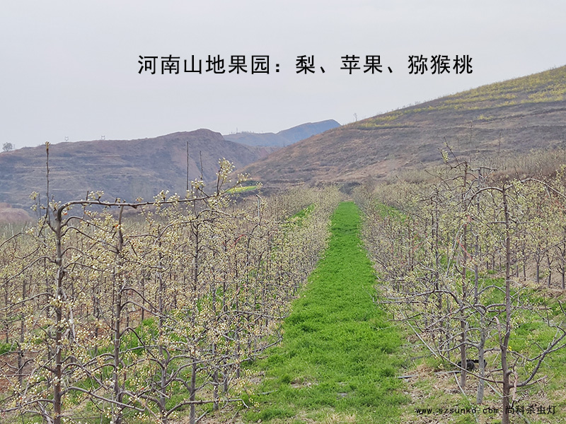 丝瓜污视频网址下载在果园用了3年照样工作