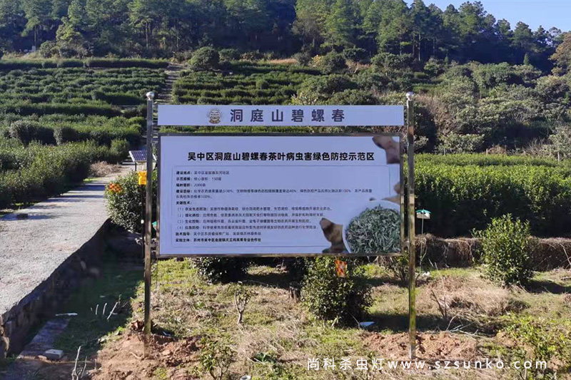 苏州天王坞碧螺春茶园丝瓜污视频网址下载安装案例