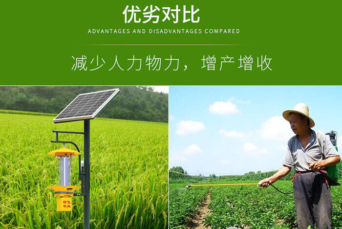 丝瓜污视频网址下载多少亩一台，节能环保的杀虫灯应用