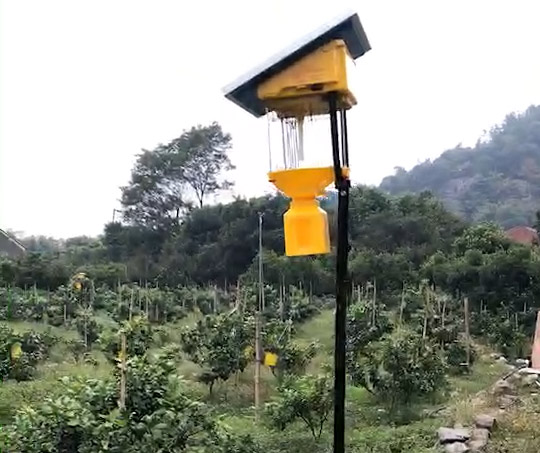大风天使用杀虫灯，效果如何？安全吗？